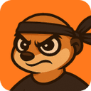 MeerGuard VPN